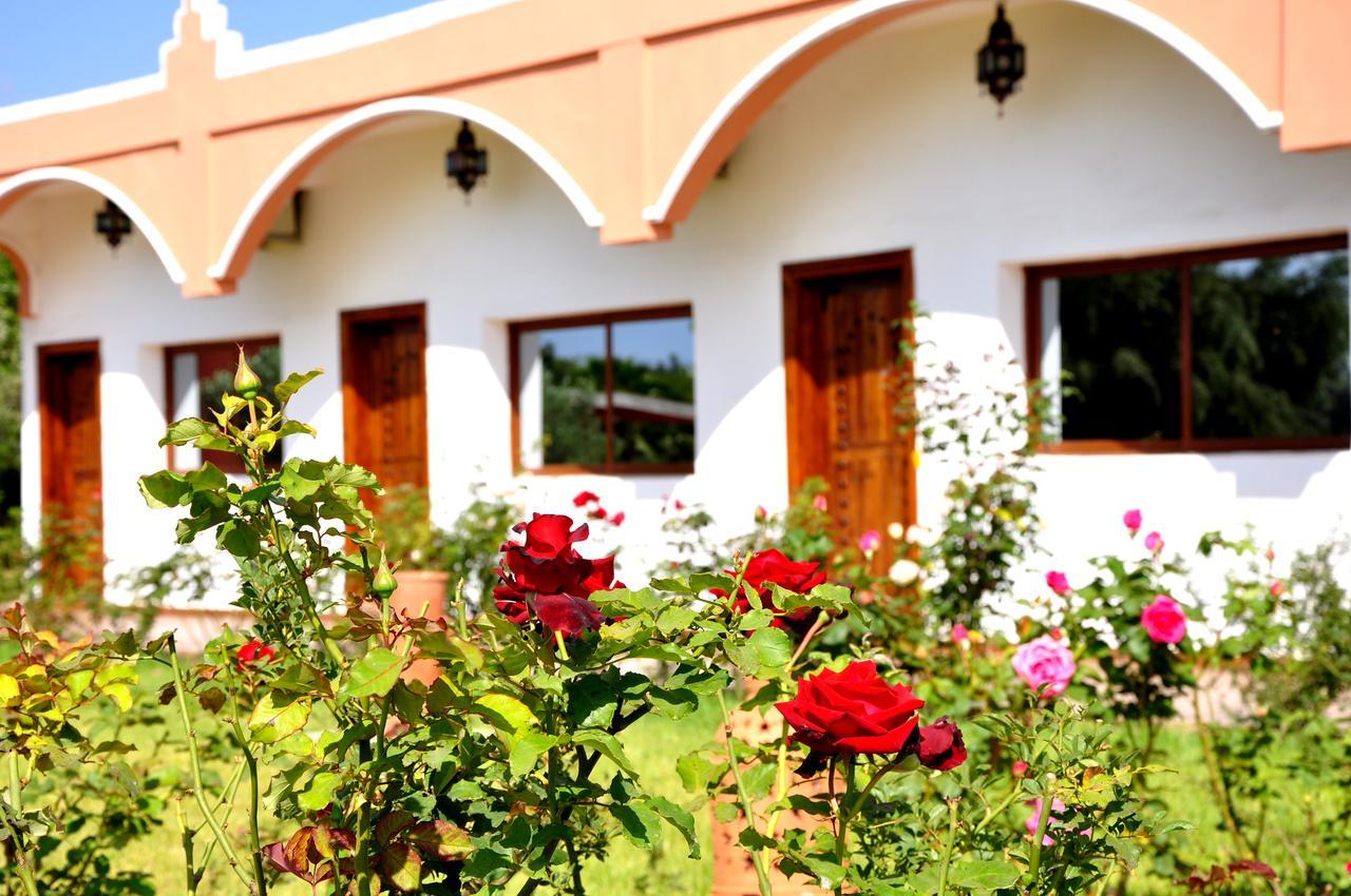 Riad Hamdani Derroua Exteriér fotografie