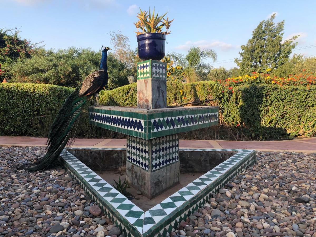 Riad Hamdani Derroua Exteriér fotografie