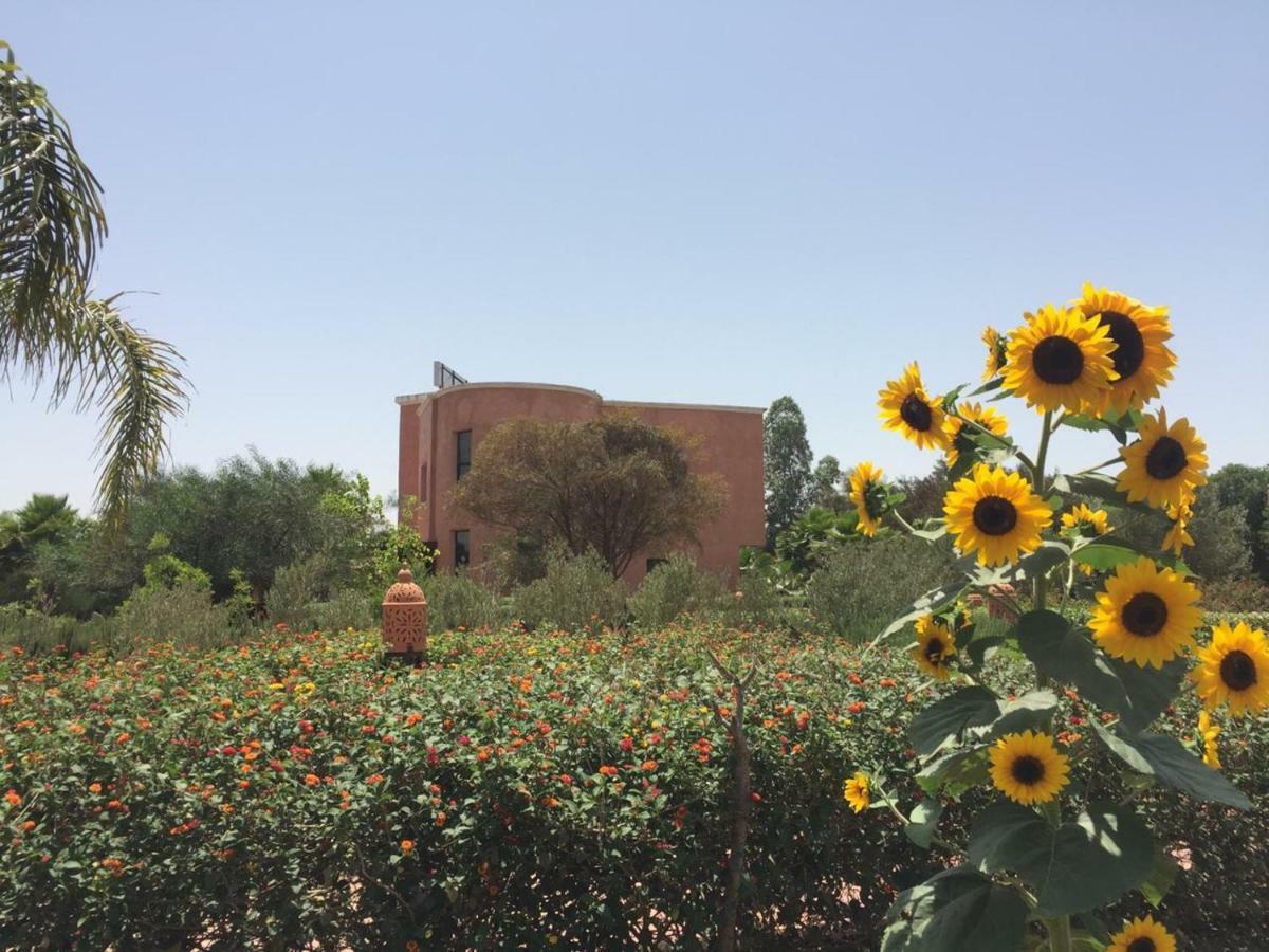 Riad Hamdani Derroua Exteriér fotografie